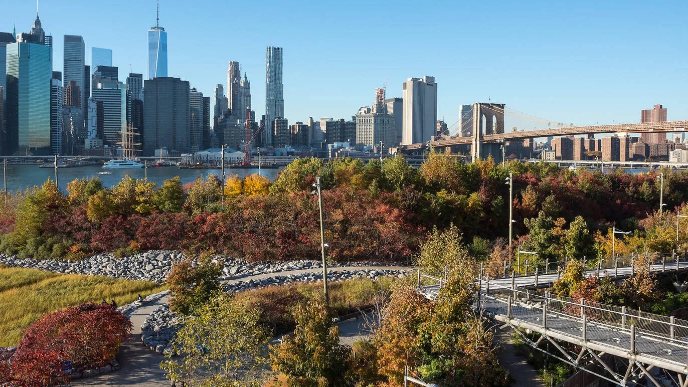 Brooklyn Bridge Park announces its 15th anniversary summer programming calendar